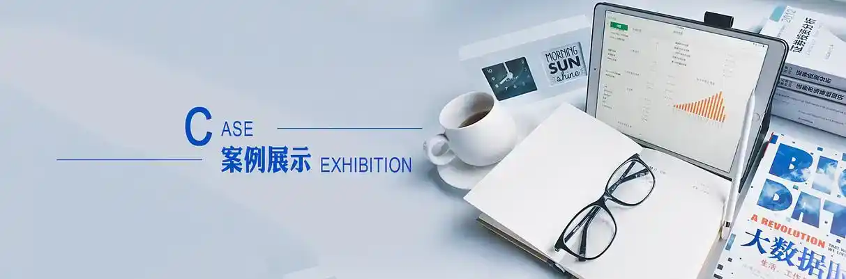 德化县软件开发